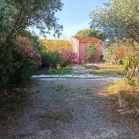 Maison De Vacances, Proche De La Plage Fréjus Exteriér fotografie